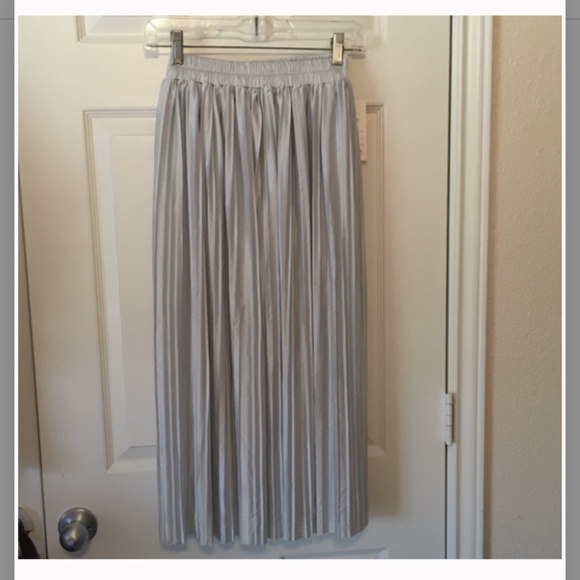 🎉HP!🎉NWT Silver Pleated Midi Skirt - Picture 5 of 5
